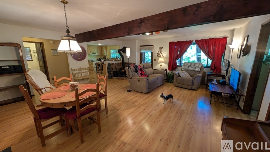 A dog is standing in a living room with a dining table and chairs.