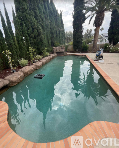 A small pool surrounded by trees and plants.