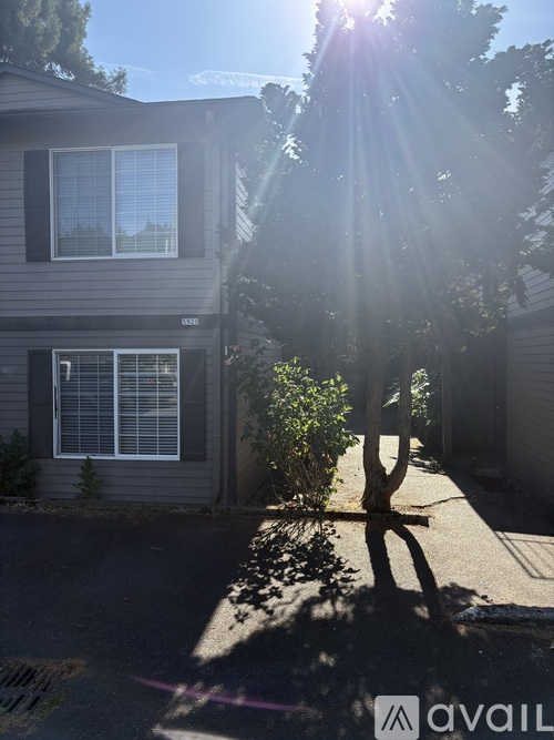 A house numbered 8580 is shown with sunlight shining through the trees.