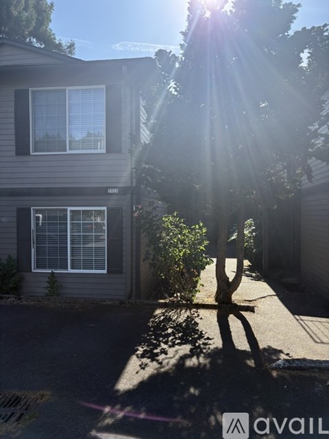 A house numbered 8580 is shown with sunlight shining through the trees.