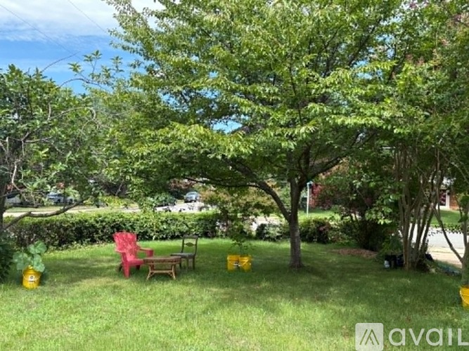 A tree in a yard with a red chair and yellow bucket.
