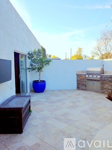 A patio with a bench, a tree, and a grill.