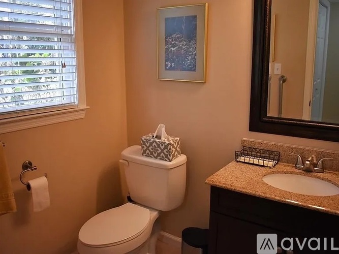 Meadow Lane Northeast 3 Beds Townhouse for Rent - Photo gallery 3