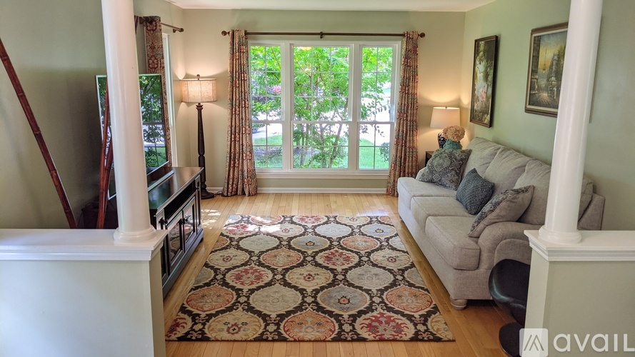 A living room with a grey couch and a patterned rug.