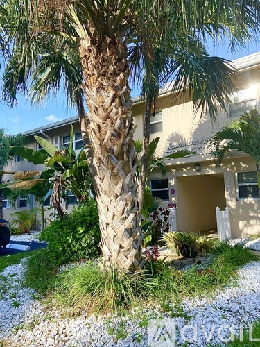 A palm tree stands in front of a house.