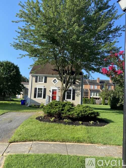 A tree in front of a house with a red door.
