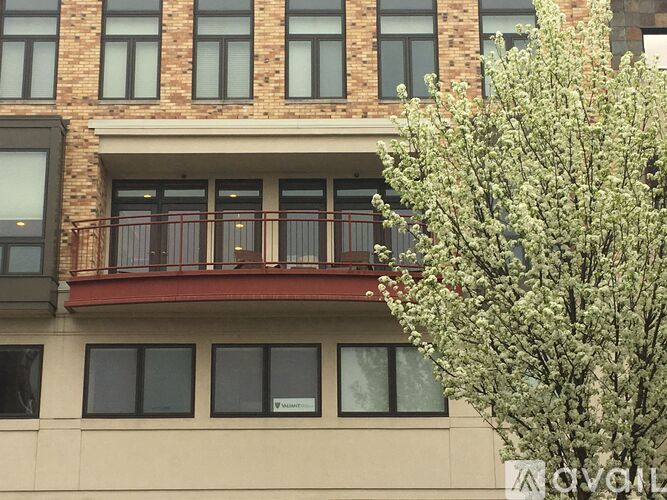 A tree with white flowers is in front of a building with a balcony.