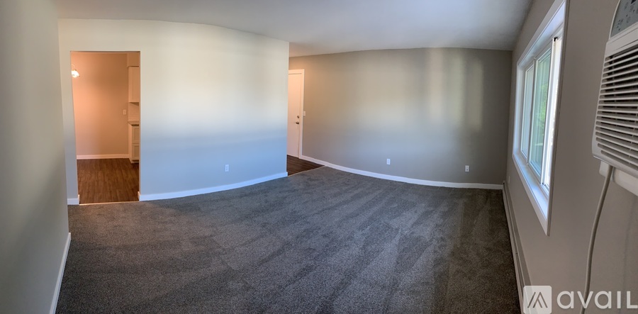 A spacious room with carpeted floor and a window on the right side.