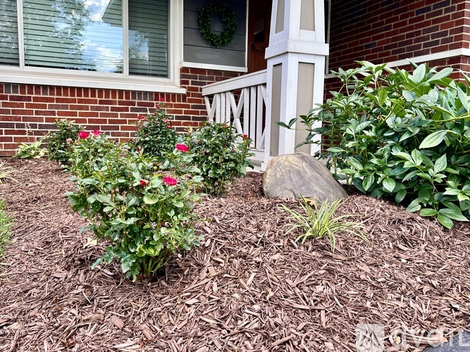 4186 Mount Carmel Tobasco Road 3 Beds Single Family Home for Rent - Photo gallery 4