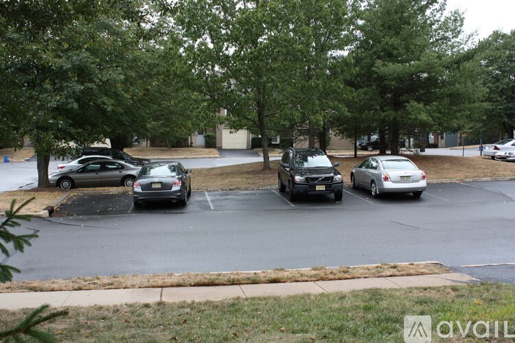 A parking lot with cars and trees.
