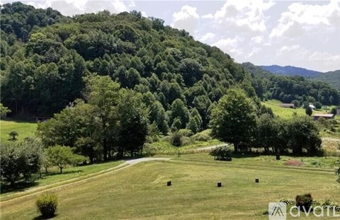 A lush green forest with a clear blue sky above.