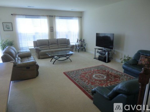 A living room with a television and a rug.