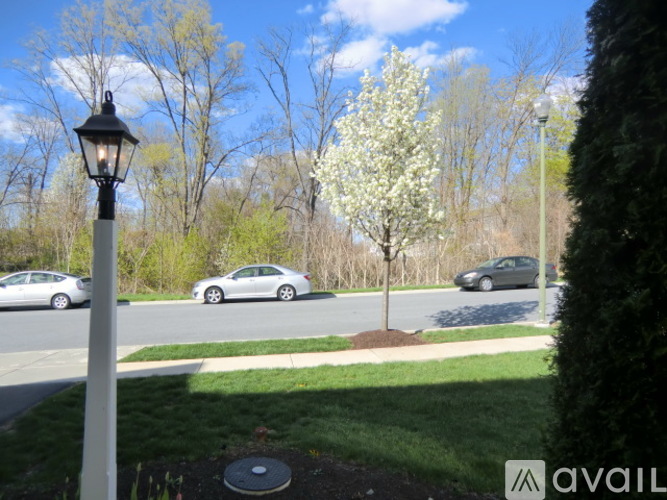 2128 Red Fox Dr 3 Beds Townhouse for Rent - Photo gallery 4
