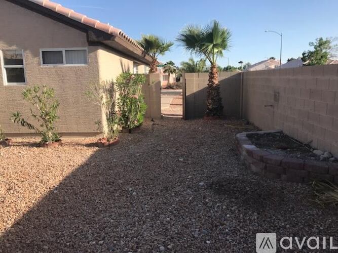 A backyard with a gravel path, a palm tree, and a wall with a window.