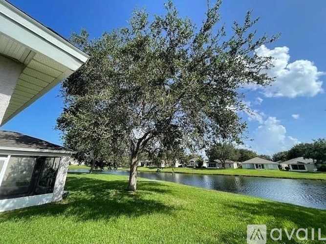 A tree stands in a grassy area in front of a house.