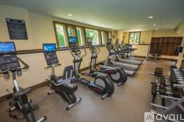 A gym with treadmills and elliptical machines.