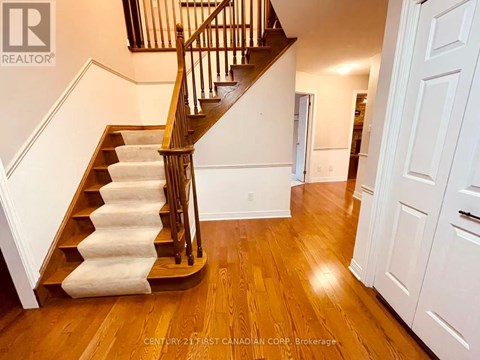 A wooden staircase with a white carpeted runner leads up to a landing.