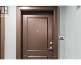 A brown door with the number 238 on it.