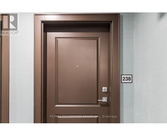A brown door with the number 238 on it.