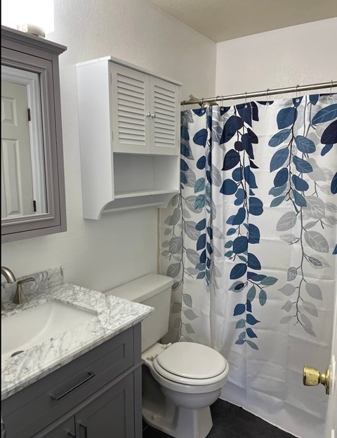 A bathroom with a toilet, sink, and shower curtain.