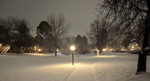A snowy park at night with street lights and trees.