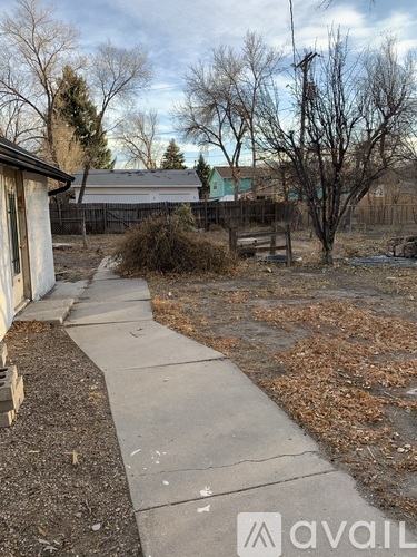 A backyard with a concrete walkway and a brown tree.