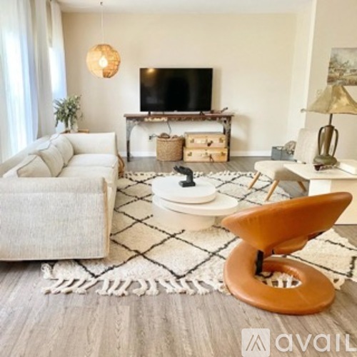 A living room with a television, a couch, a chair, and a rug.