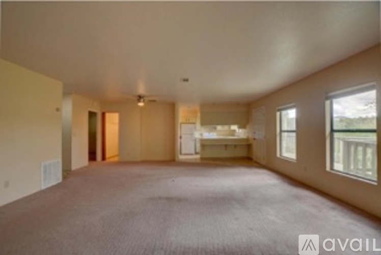 A spacious empty room with a carpeted floor and a window on the right side.