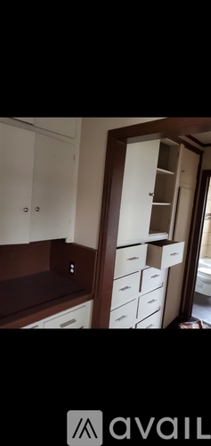 503 N Washington Ave 1 Condo for Rent - Photo gallery 3