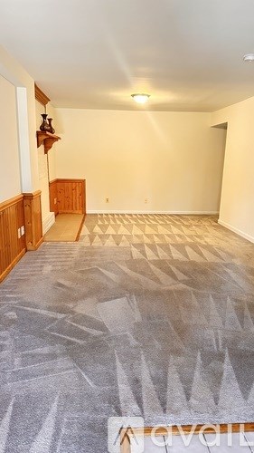 A room with a carpet and a wooden cabinet.