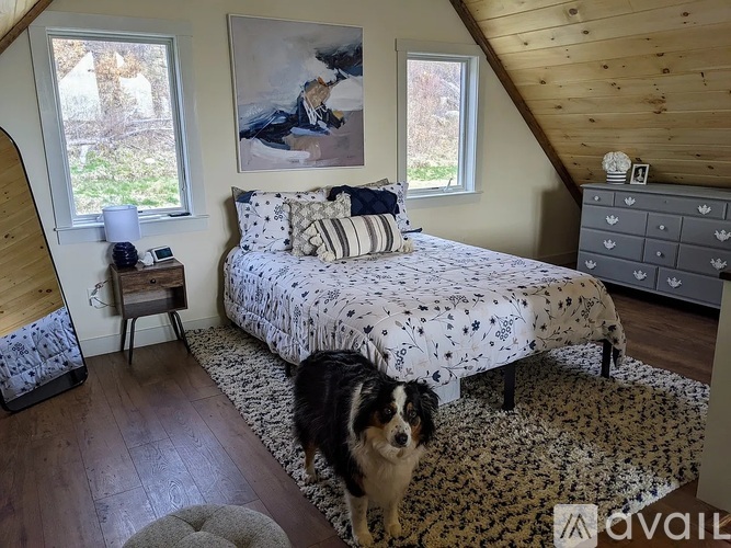 A dog is standing on a rug in a room with a bed and a painting on the wall.