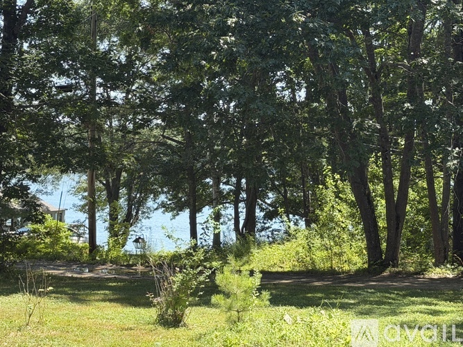 A grassy area with trees and a clear sky.