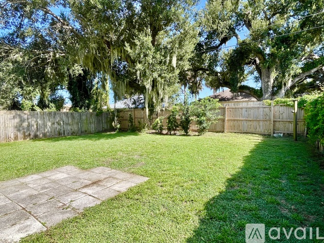 A backyard with a wooden fence and a tree with Spanish moss hanging from it.