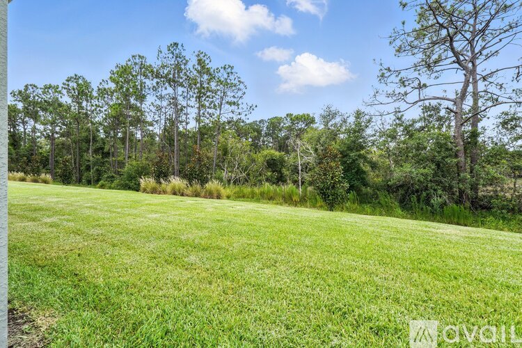 A grassy field with trees in the background and a clear blue sky.