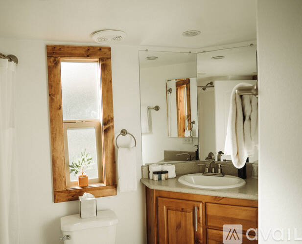 A bathroom with a toilet, sink, mirror, and a window with a plant in it.