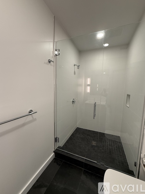 A bathroom with a walk-in shower and a toilet.
