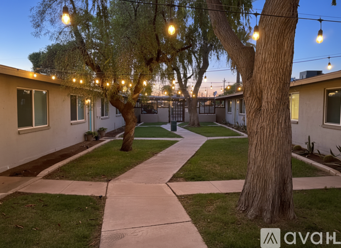 A tree-lined walkway leads to a building with string lights hanging above.