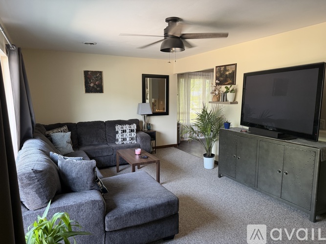A living room with a grey couch and a television.