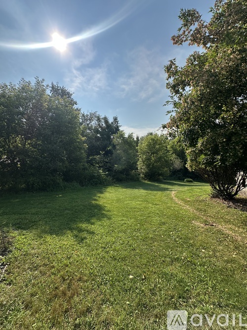 A sunny day in a green, grassy field with trees on the sides.