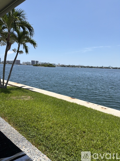 A palm tree stands on a grassy area next to a body of water.