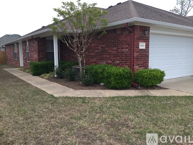 A small tree is in front of a brick house with a white garage door.