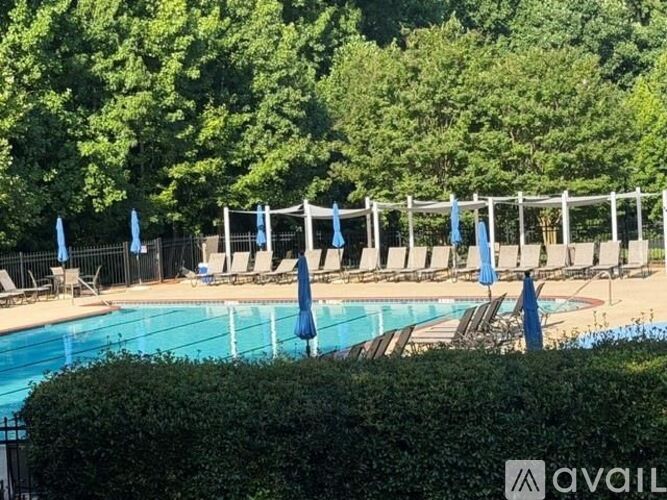 A pool surrounded by trees and lounge chairs with umbrellas.