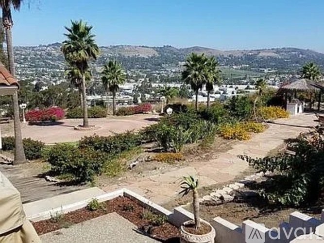 A view of a garden with a palm tree and a mountain in the background.