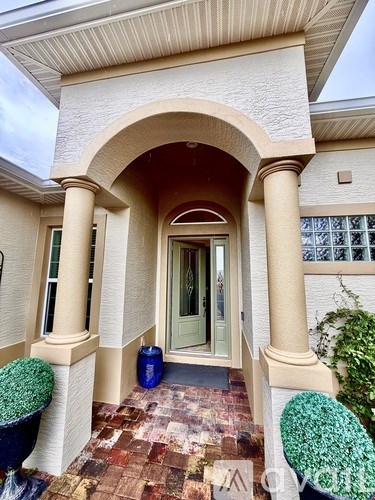 A house entrance with a green plant on the right.