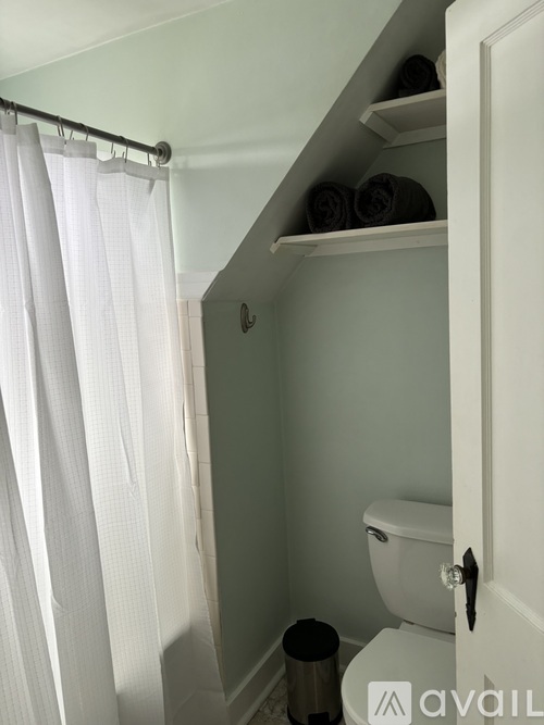 A bathroom with a toilet, a shower curtain, and a trash can.