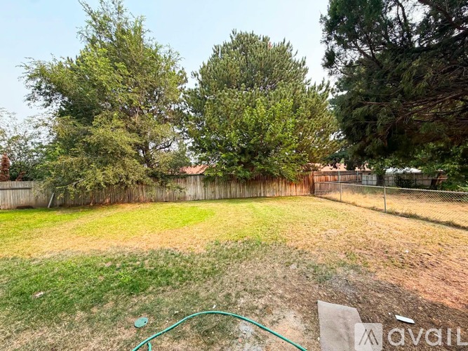 A backyard with a green hose and trees.