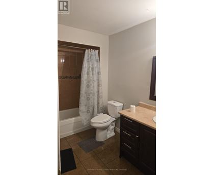 A bathroom with a toilet, sink, and shower curtain.