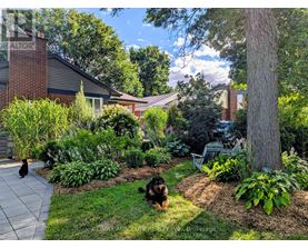 A dog is sitting in a well-manicured garden with a cat walking in the background.