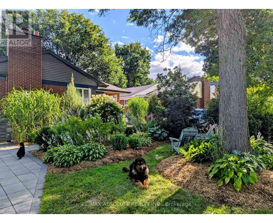 A dog is sitting in a well-manicured garden with a cat walking in the background.