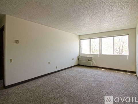 A room with a carpeted floor and a window.